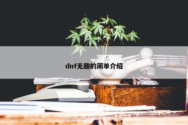 dnf无趣的简单介绍