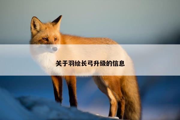 关于羽绘长弓升级的信息