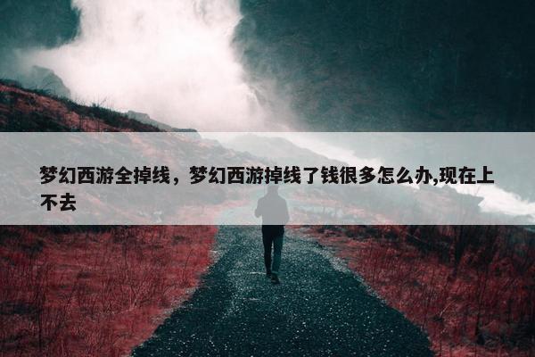 梦幻西游全掉线，梦幻西游掉线了钱很多怎么办,现在上不去