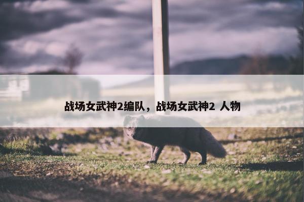 战场女武神2编队，战场女武神2 人物