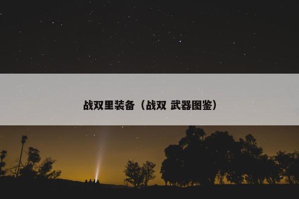战双里装备（战双 武器图鉴）