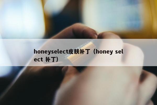 honeyselect皮肤补丁（honey select 补丁）