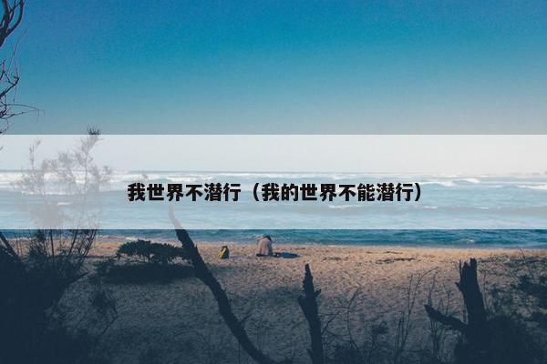 我世界不潜行（我的世界不能潜行）