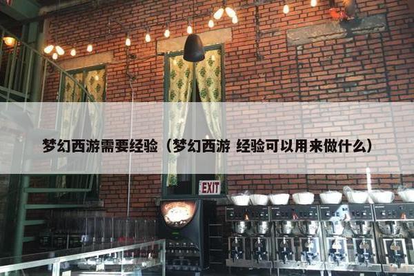 梦幻西游需要经验（梦幻西游 经验可以用来做什么）
