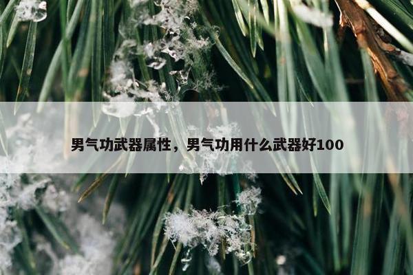 男气功武器属性，男气功用什么武器好100
