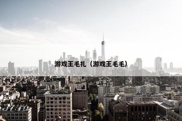 游戏王毛扎（游戏王毛毛）