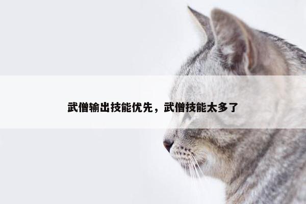 武僧输出技能优先，武僧技能太多了