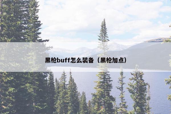 黑枪buff怎么装备（黑枪加点）
