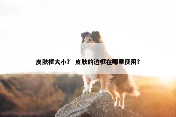 皮肤框大小？ 皮肤的边框在哪里使用？