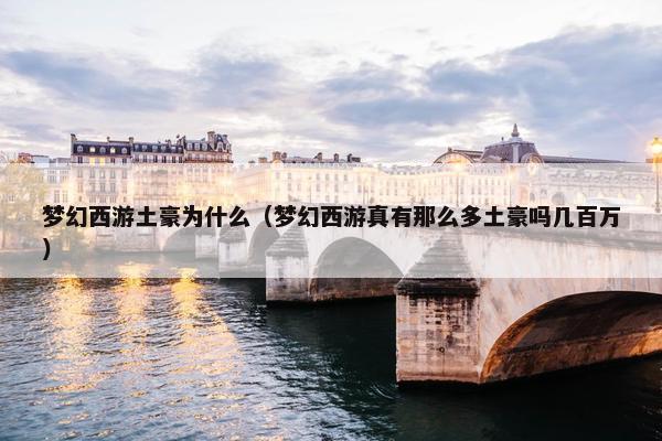 梦幻西游土豪为什么（梦幻西游真有那么多土豪吗几百万）