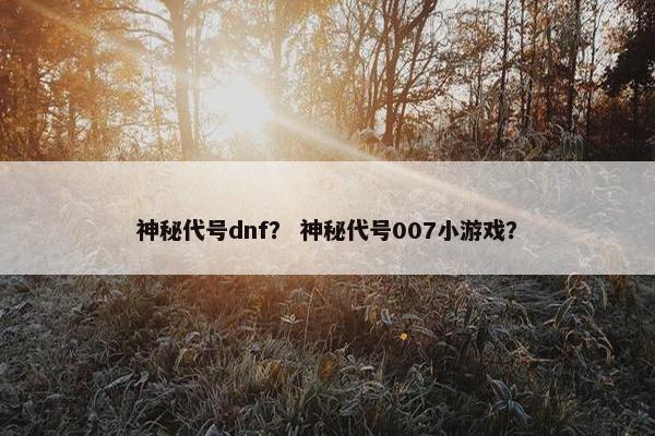 神秘代号dnf？ 神秘代号007小游戏？