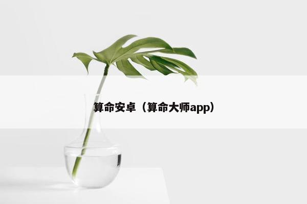 算命安卓（算命大师app）