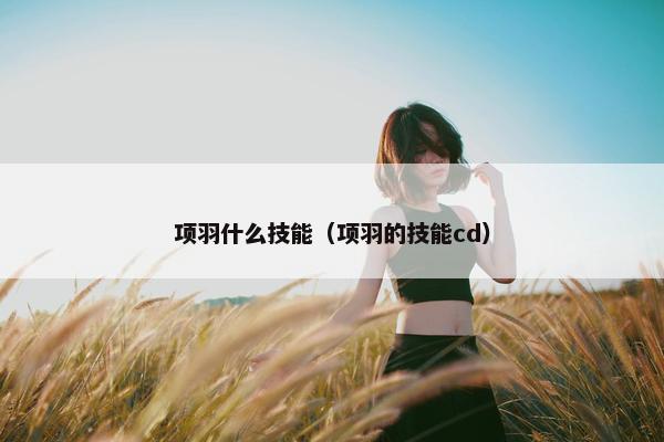 项羽什么技能（项羽的技能cd）