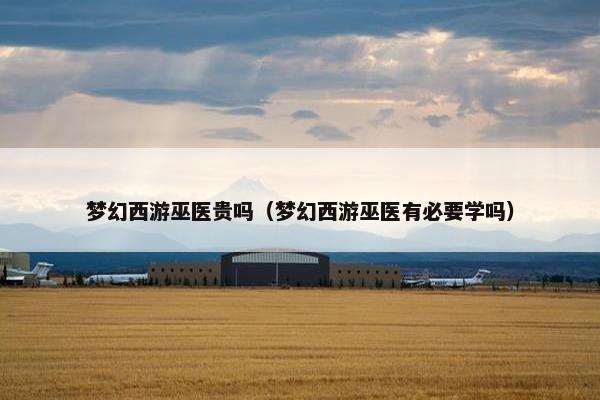梦幻西游巫医贵吗（梦幻西游巫医有必要学吗）