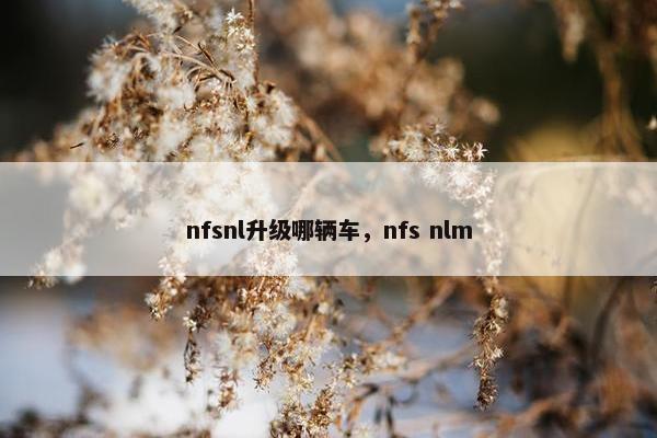 nfsnl升级哪辆车，nfs nlm
