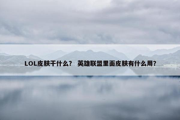 LOL皮肤干什么？ 英雄联盟里面皮肤有什么用？