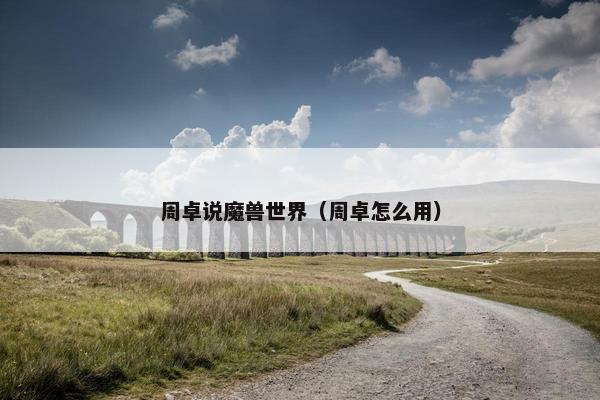 周卓说魔兽世界（周卓怎么用）
