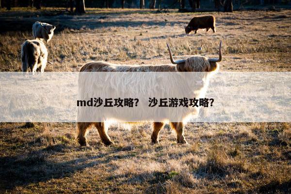 md沙丘攻略？ 沙丘游戏攻略？