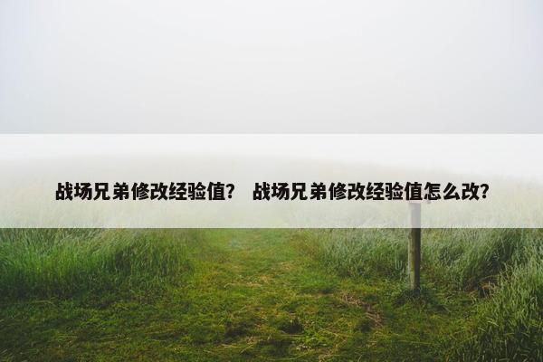 战场兄弟修改经验值？ 战场兄弟修改经验值怎么改？