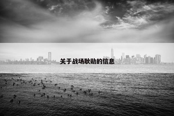 关于战场耿勋的信息