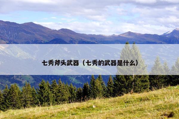 七秀斧头武器（七秀的武器是什么）