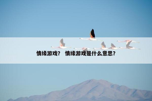 情缘游戏？ 情缘游戏是什么意思？