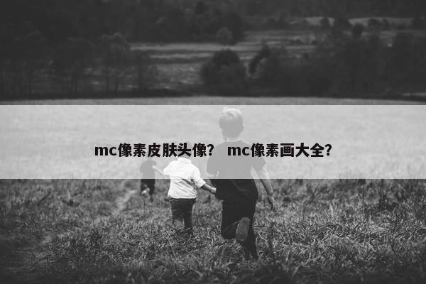 mc像素皮肤头像？ mc像素画大全？