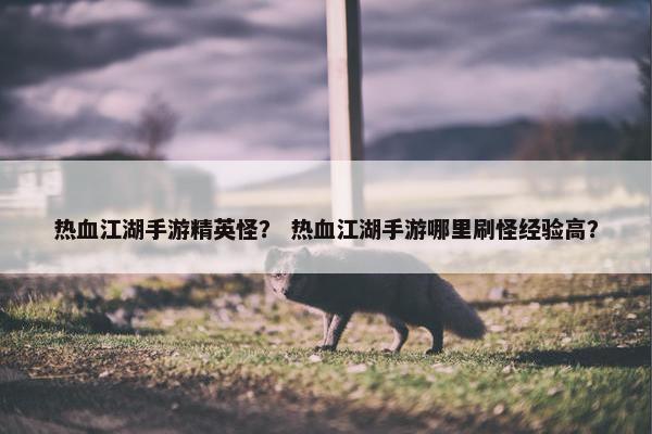 热血江湖手游精英怪？ 热血江湖手游哪里刷怪经验高？