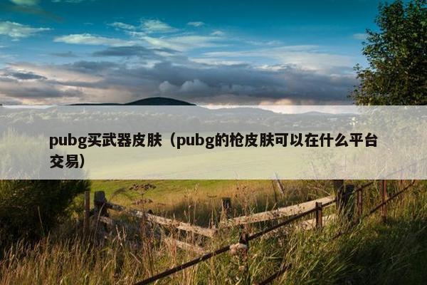 pubg买武器皮肤（pubg的枪皮肤可以在什么平台交易）