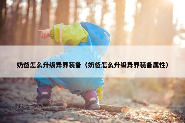 奶爸怎么升级异界装备（奶爸怎么升级异界装备属性）
