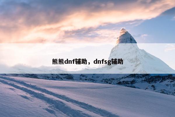 熊熊dnf辅助，dnfsg辅助