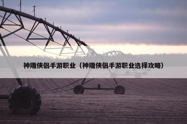 神雕侠侣手游职业（神雕侠侣手游职业选择攻略）