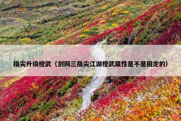 指尖升级橙武（剑网三指尖江湖橙武属性是不是固定的）