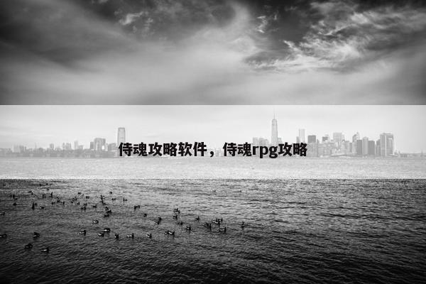 侍魂攻略软件，侍魂rpg攻略