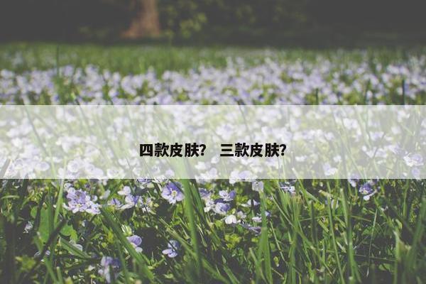 四款皮肤？ 三款皮肤？
