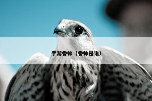 手游香帅（香帅是谁）