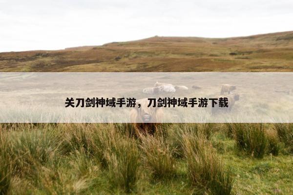 关刀剑神域手游，刀剑神域手游下载
