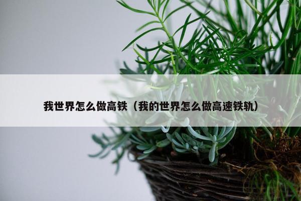 我世界怎么做高铁（我的世界怎么做高速铁轨）
