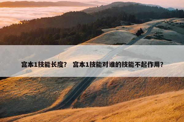 宫本1技能长度？ 宫本1技能对谁的技能不起作用？