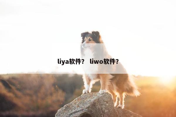 liya软件？ liwo软件？