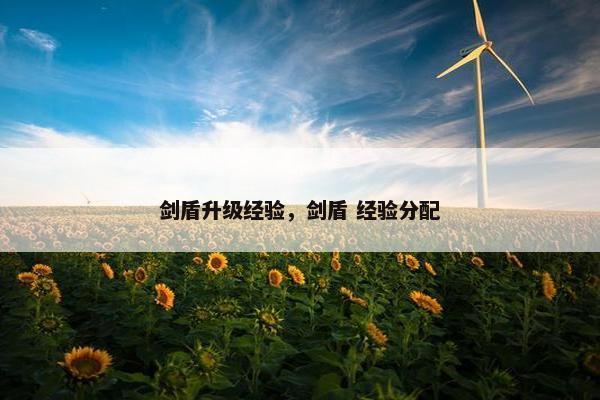 剑盾升级经验，剑盾 经验分配