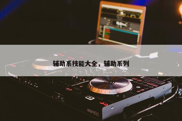 辅助系技能大全，辅助系列
