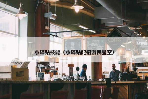 小碎钻技能（小碎钻配招游民星空）
