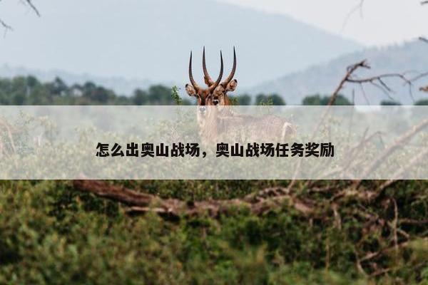 怎么出奥山战场，奥山战场任务奖励