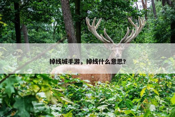 掉线城手游，掉线什么意思?
