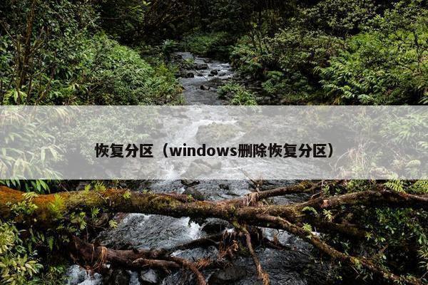 恢复分区（windows删除恢复分区）