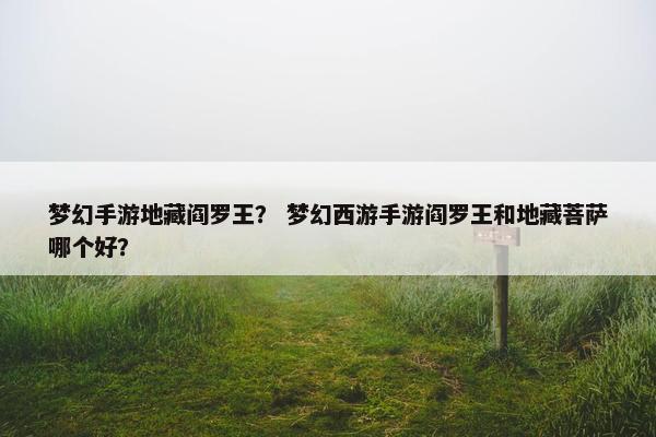 梦幻手游地藏阎罗王？ 梦幻西游手游阎罗王和地藏菩萨哪个好？
