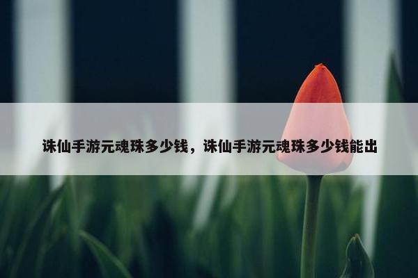 诛仙手游元魂珠多少钱，诛仙手游元魂珠多少钱能出