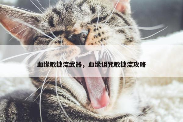 血缘敏捷流武器，血缘诅咒敏捷流攻略