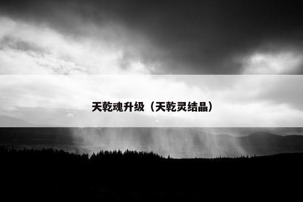 天乾魂升级（天乾灵结晶）